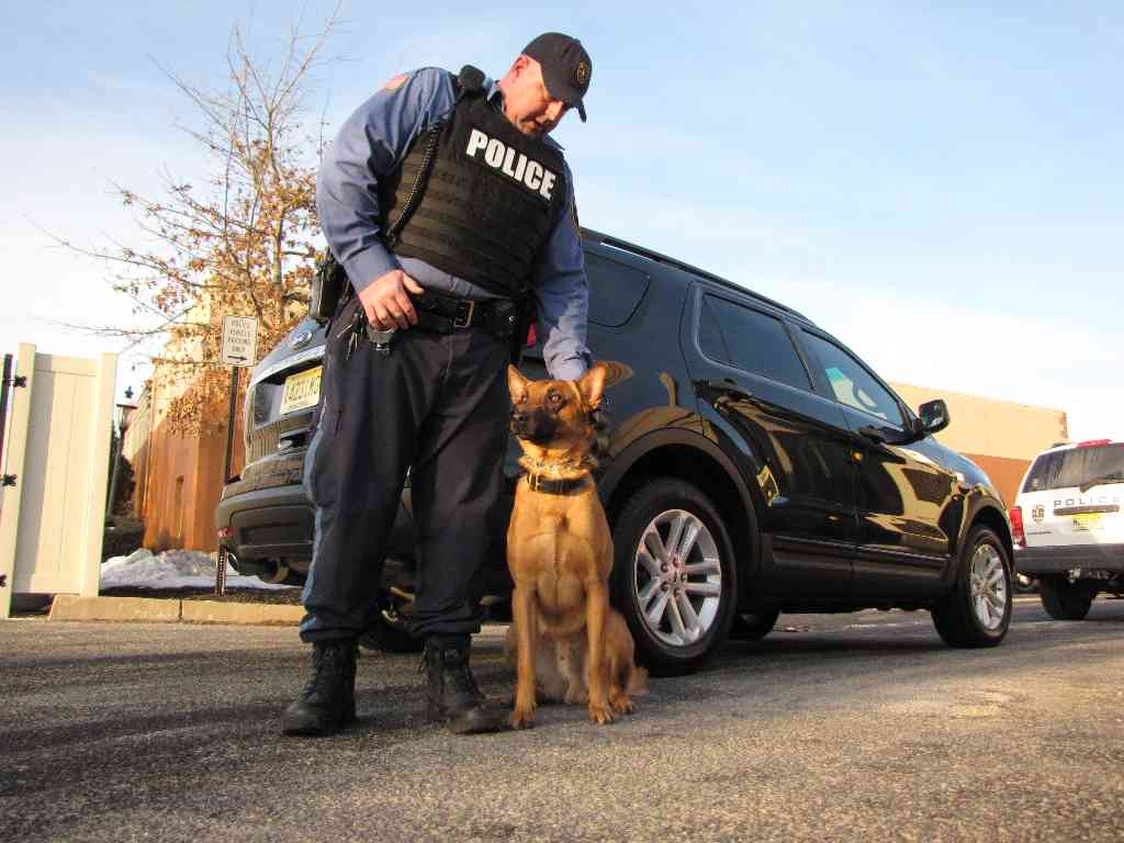 Whatcha gonna do? Lawrence police branch to be featured on ‘COPS’ 2