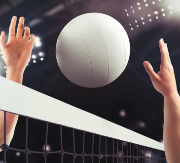 Volleyball Champions 3D Mod Apk Download 1