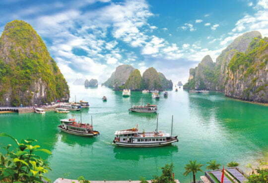 Vietnam jails environmental blogger for 14 years 17