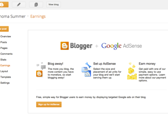 Google Blogger - How to Find a Domain Name for Your Blog 9