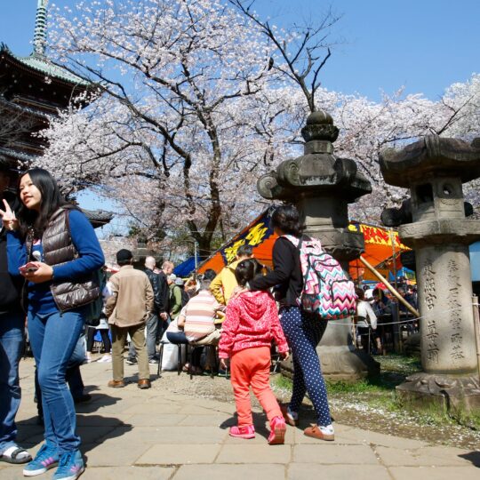 The Japanese Perspective: Why Tourists Are Unpopular 8